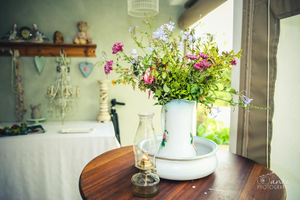 Oue Werf Country House Oudtshoorn Ngoại thất bức ảnh